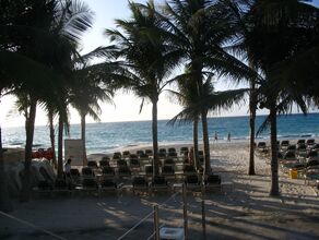 Click to See Next Image